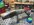 IMG_2220.JPEG