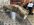 IMG_2221.JPEG