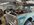 IMG_9965.jpeg