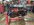 IMG_9975.jpeg