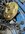 IMG_0079.jpeg