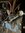 IMG_0080.jpeg