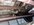IMG_3886.jpeg