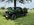 IMG_4362.jpeg
