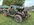 IMG_4368.jpeg