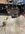 IMG_9314.JPEG