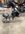 IMG_9320.JPEG