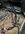 IMG_1469.jpeg
