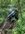 IMG_3131.jpeg