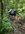 IMG_3140.jpeg