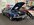 IMG_6730.jpeg