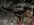 IMG_6673.jpeg