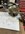 IMG_8581.jpeg