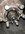 IMG_1497.jpeg