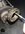 IMG_1498.jpeg