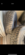 IMG_2861.png