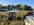 IMG_2351.jpeg