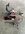 IMG_2866.jpeg