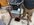 IMG_4055.jpeg