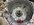 IMG_4056.jpeg