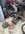 IMG_4053.jpeg