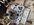 IMG_4057.jpeg