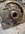IMG_4058.jpeg