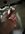 IMG_6975.jpeg