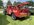 IMG_3117.jpeg