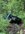 IMG_3102.jpeg