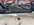 IMG_1524.jpeg