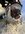 IMG_1533.jpeg