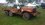 IMG_0310.jpeg