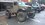 IMG_0311.jpeg