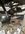 IMG_6725.jpeg