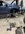 IMG_2848.jpeg