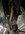 IMG_2226.jpeg