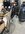 IMG_2235.jpeg