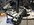 IMG_2266.jpeg