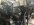 IMG_2268.jpeg
