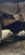 IMG_9679.png