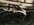 IMG_2853.jpeg