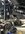 IMG_2270.jpeg