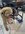 IMG_2269.jpeg