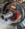 1703873724001.png