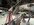 IMG_2894.jpeg