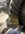 9BFFE235-C8D6-4E9F-81E0-22C6C22CE72E.jpeg