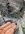 IMG_4106.jpeg
