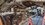 image000000.jpeg