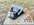 IMG_6718.jpeg